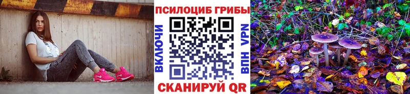 Псилоцибиновые грибы ЛСД  где найти наркотики  Гремячинск 